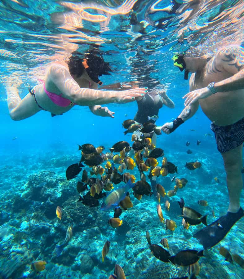From Lembongan: Nusa Penida Private Snorkeling & West Tour - Lunch gives you a needed pause