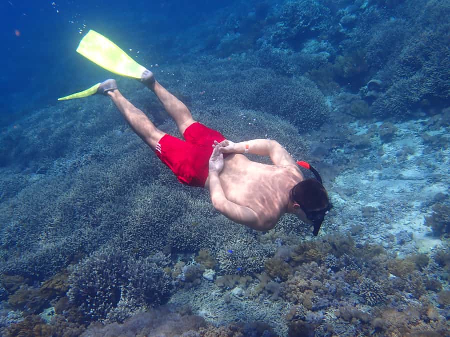 From Lembongan: Nusa Penida Snorkeling Day Trip - Why this $21 trip offers strong value