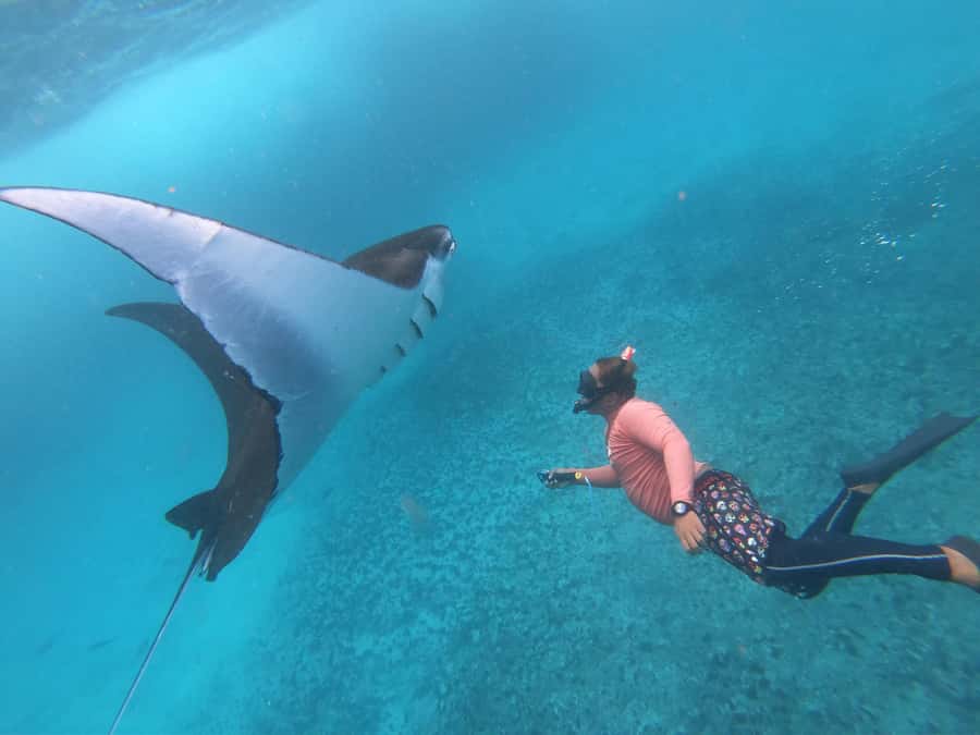 From Lembongan: Nusa Penida Snorkeling Day Trip - Manta Point: the thrilling first stop