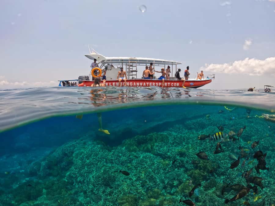 From Lembongan: Nusa Penida Snorkeling Day Trip - Gamat Bay and the other two sites
