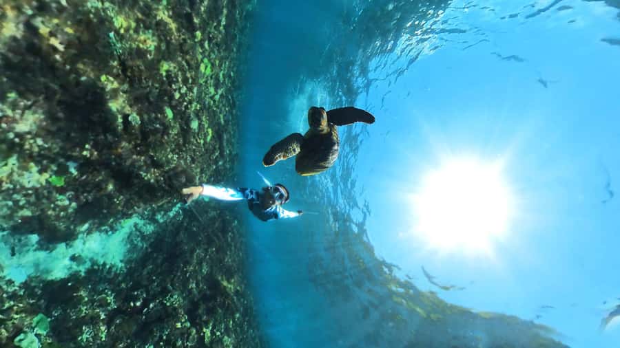 From Lembongan: Nusa Penida Snorkeling Day Trip - Starting at Mesari Beach Restaurant