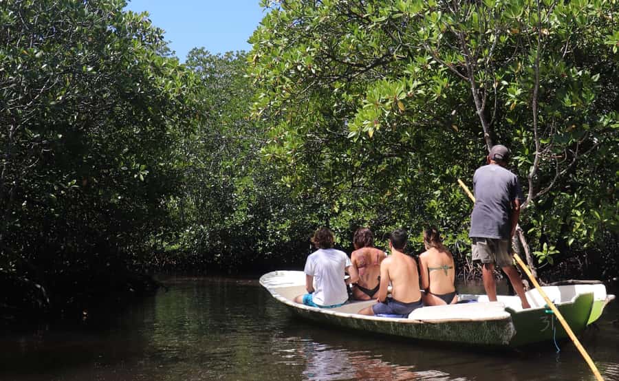 From Lembongan: Snorkeling 3 Spots, Mangrove and Land Tour - Crystal Bay and Gamat Bay offer the calmer payoff