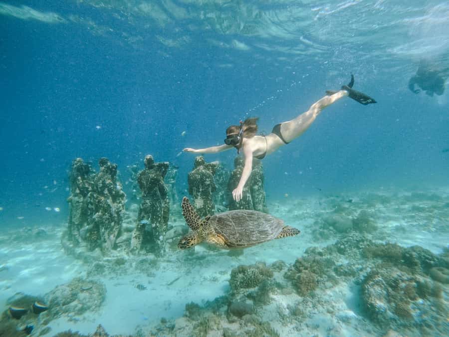 From Lombok: 3 Gili Islands Private Snorkeling Adventure - Gili Air brings the first coral stop