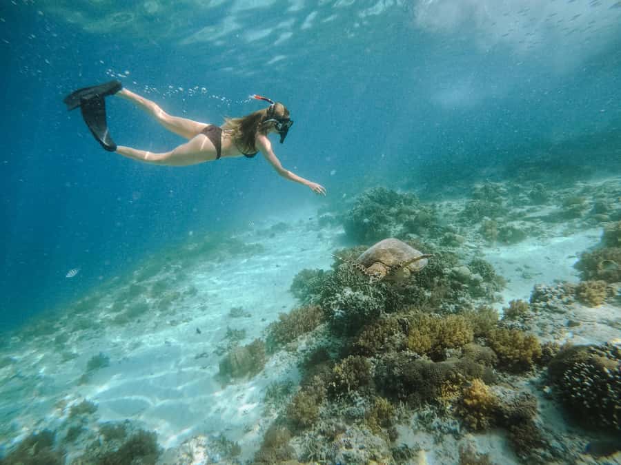 From Lombok: 3 Gili Islands Private Snorkeling Adventure - Gili Meno and the underwater statue