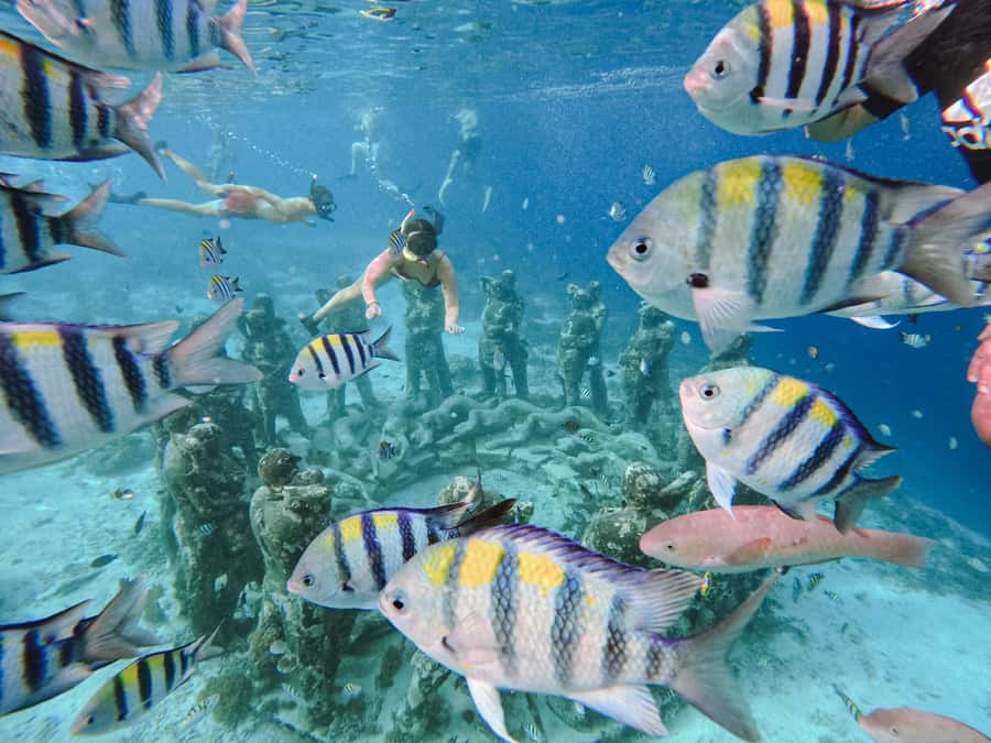 From Lombok: 3 Gili Islands Private Snorkeling Adventure - Turtle Point at Gili Trawangan