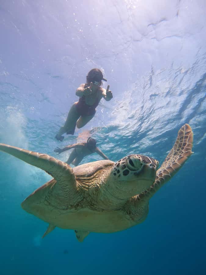 From Lombok: Gili Islands Snorkeling Day Trip - Gili Meno: statues, coral, and the lunch break