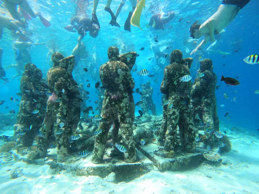 From Lombok: Gili Islands Snorkeling Day Trip - What the guide and boat crew add