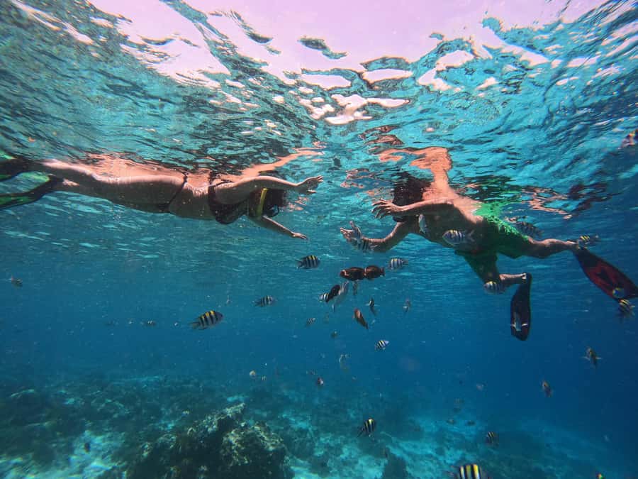 From Lombok: Gili Islands Snorkeling Day Trip - Timing, group size, and the real value of $75