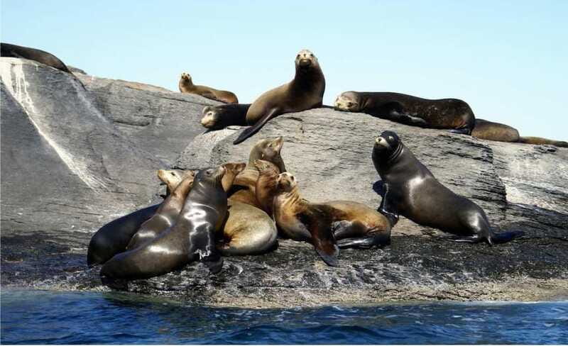 From Loreto: Coronado Island Snorkel - A white-sand beach with several ways to spend your time