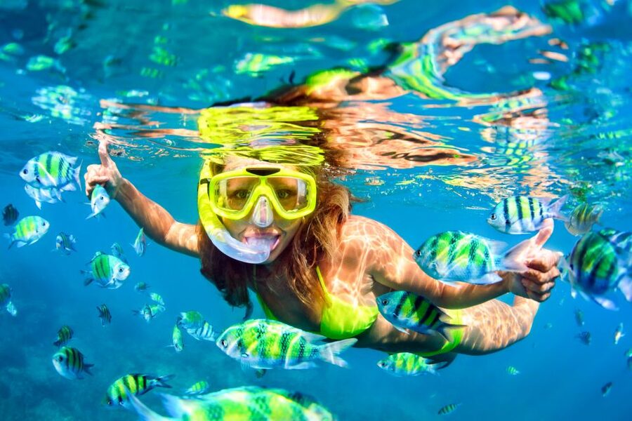 From Ma'alaea: Turtle Town Snorkel aboard Quicksilver - A practical plan for your morning