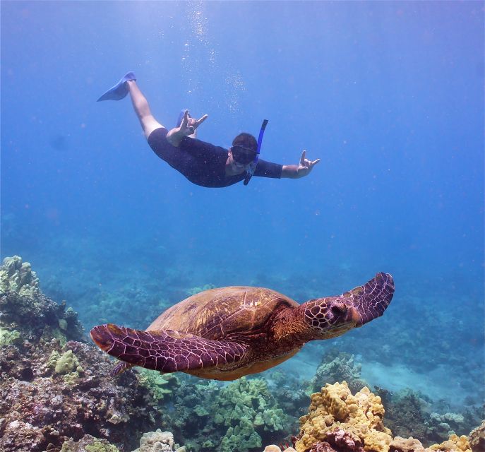 From Ma'alaea: Turtle Town Snorkel aboard Quicksilver - Maalaea Harbor sets the tone