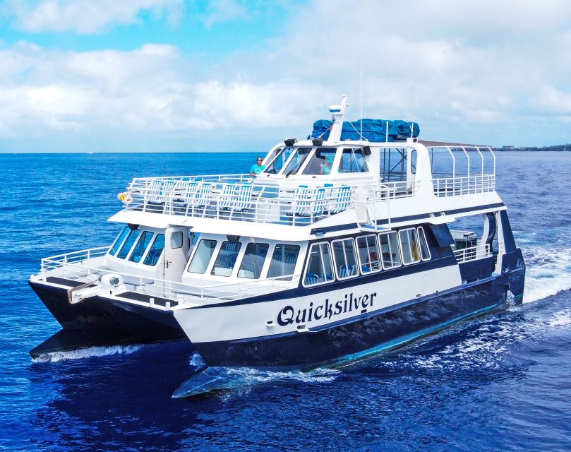 From Ma'alaea: Turtle Town Snorkel aboard Quicksilver - More than a viewing platform