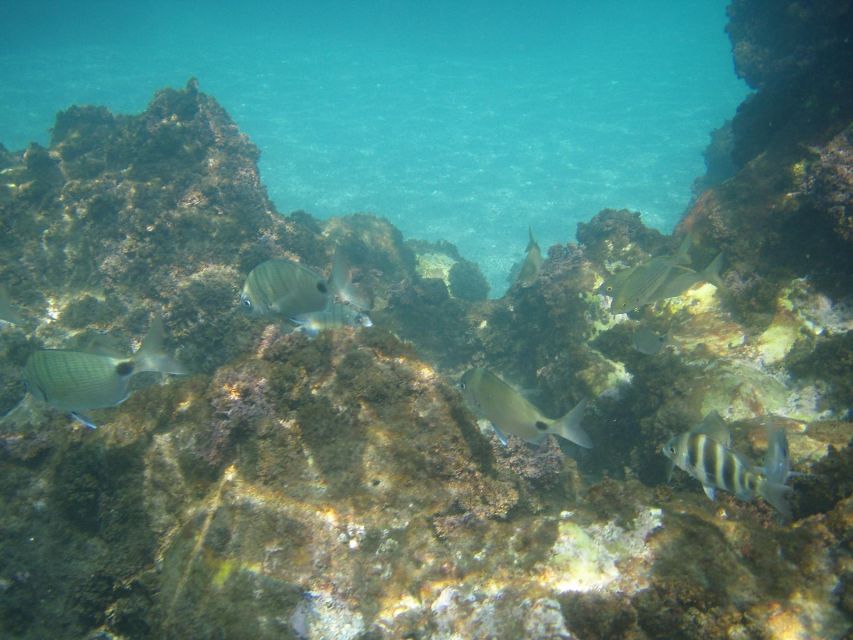 From Malaga: Cliffs of Maro Hike w/ Beach Visit & Snorkeling - What the hiking difficulty really feels like
