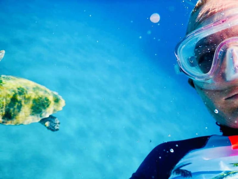 From Milopotas: Ios Island Scenic Snorkeling Cruise - Is $76 a Fair Price?