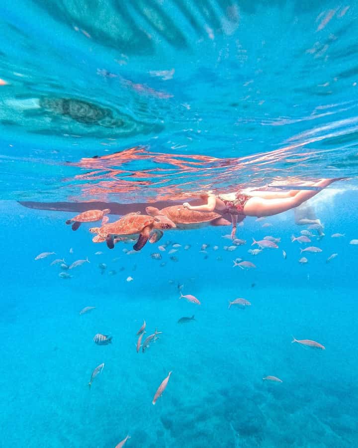 From Mindelo: Snorkel and Swim with Sea Turtles - Why São Pedro Beach makes this a good short outing