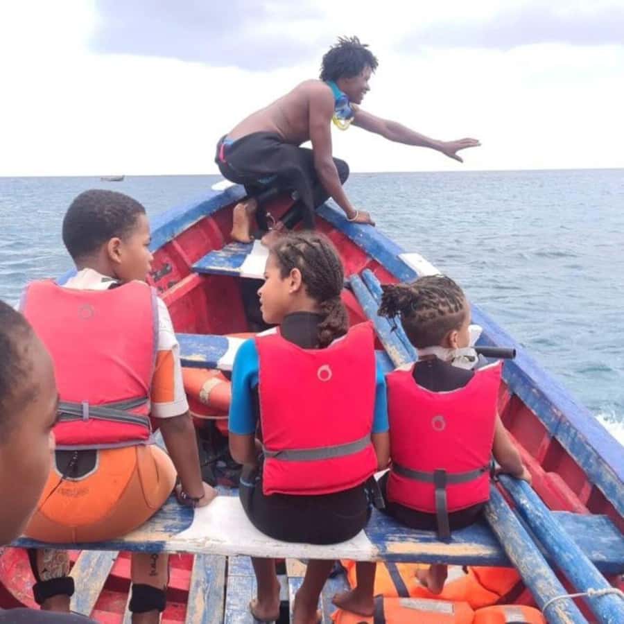 From Mindelo: Snorkel and Swim with Sea Turtles - What happens when the turtles approach