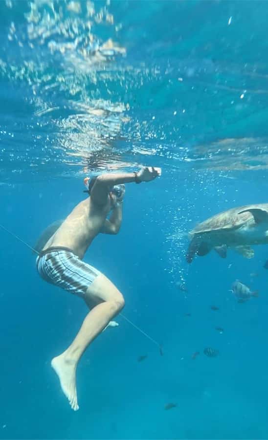 From Mindelo: Snorkel and Swim with Sea Turtles - How this compares with a normal beach day