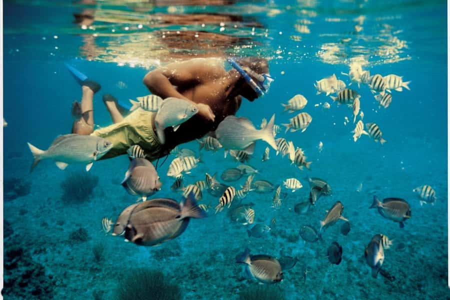 From Muscat: Dimaniyat Islands Snorkeling Tour - Why the Dimaniyat Islands are worth your day