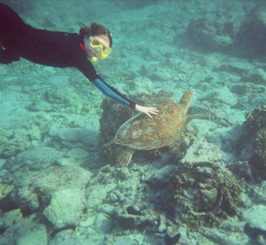 From Muscat: Dimaniyat Islands Snorkeling Tour - First snorkeling stop: the best chance for turtles