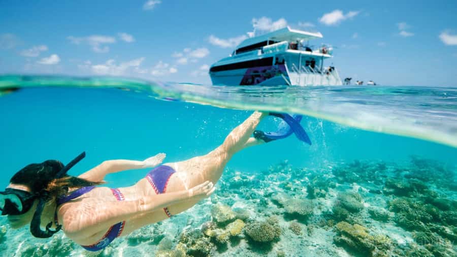 From Muscat: Dimaniyat Islands Snorkeling Tour - From your Muscat hotel to the marina