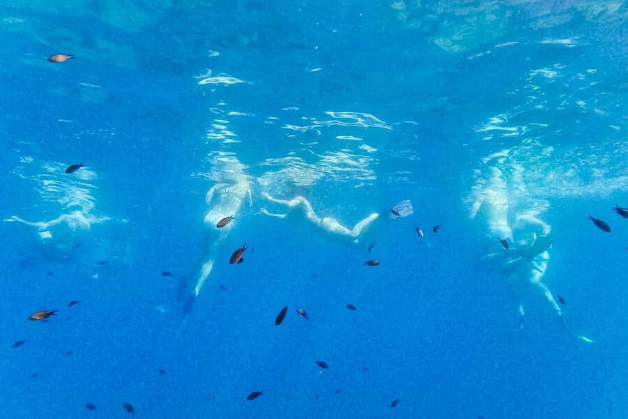 From Nice: French Riviera Swimming and Snorkeling Cruise - Is $58 a fair price?