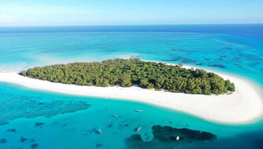 From Nungwi : Mnemba Boat Trip and Dolphin Snorkel Adventure - Snorkeling around Mnemba’s coral reefs