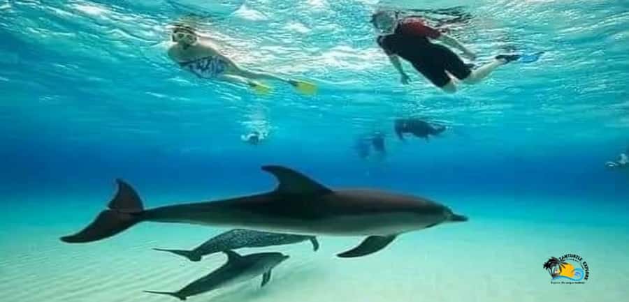 From Nungwi: Mnemba Island Dolphin Watching and Snorkeling - Leaving Nungwi for the open water