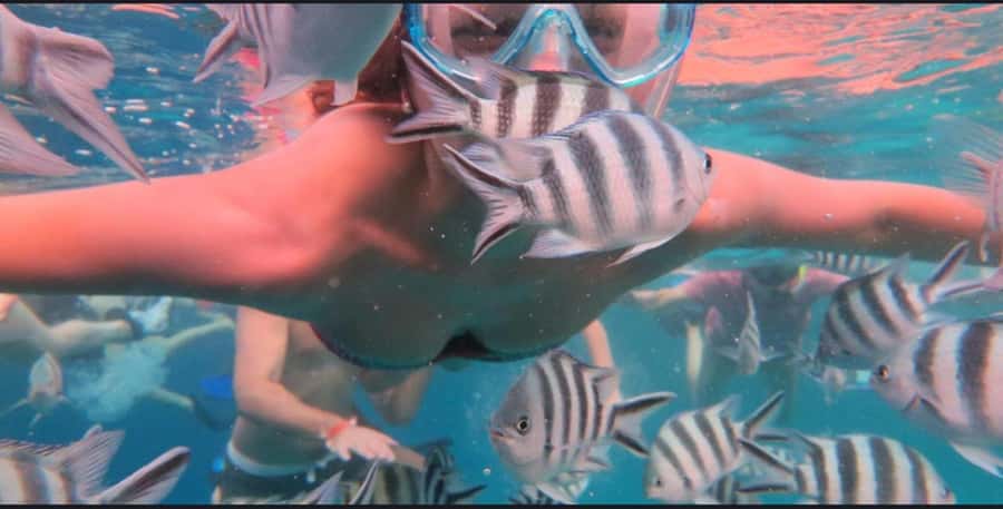 FROM NUNGWI; MNEMBA SNORKELING AND DOLPHIN TOUR - Snorkeling around Mnemba’s coral and fish