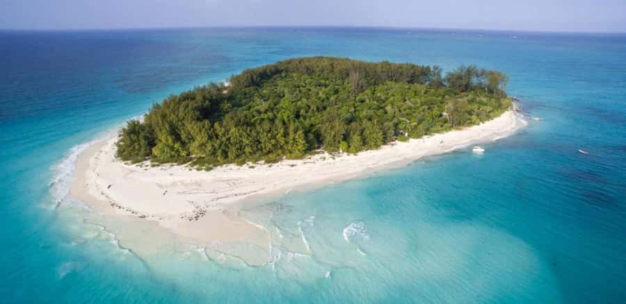 FROM NUNGWI; MNEMBA SNORKELING AND DOLPHIN TOUR - Fruit, water, and a shallow sandbank