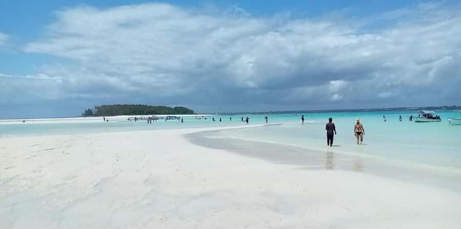 FROM NUNGWI; MNEMBA SNORKELING AND DOLPHIN TOUR - Who should book this outing?