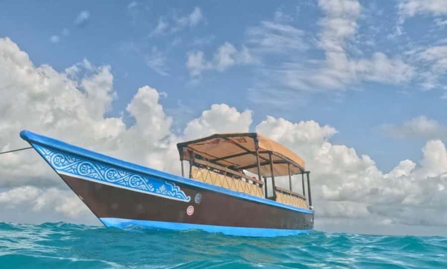 FROM NUNGWI; MNEMBA SNORKELING AND DOLPHIN TOUR - Practical tips for a better day
