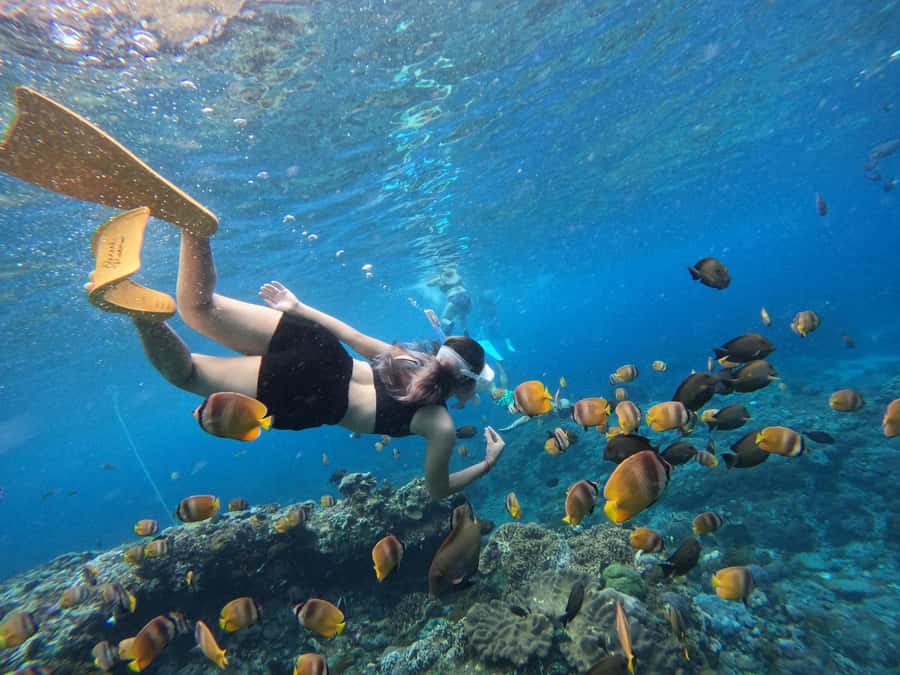 From Nusa Penida: 3 Spots Snorkeling Tour with Manta Rays - Indonesian lunch at Mesari Beach Restaurant