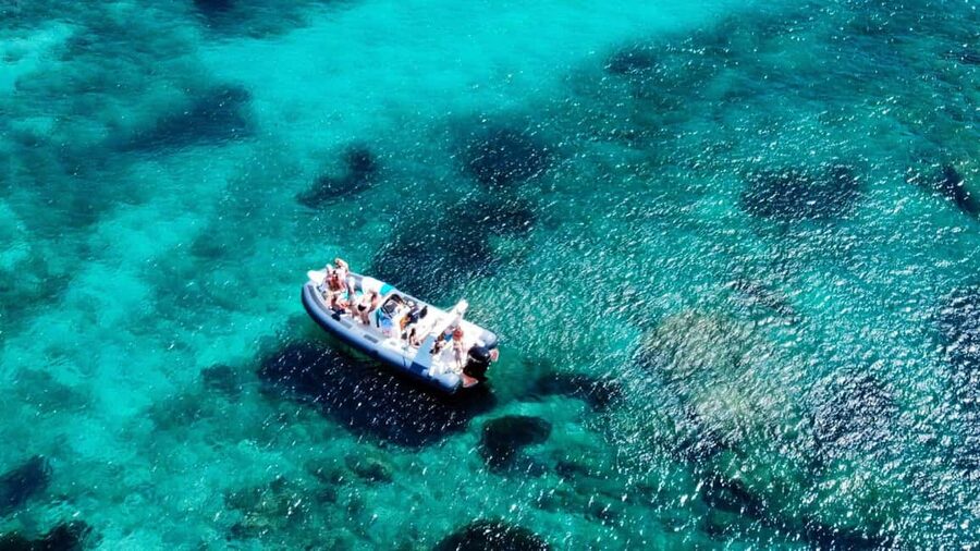 From Olbia: Dinghy Tour with Snorkeling to Tavolara Island - Why the Tavolara marine reserve is worth your time