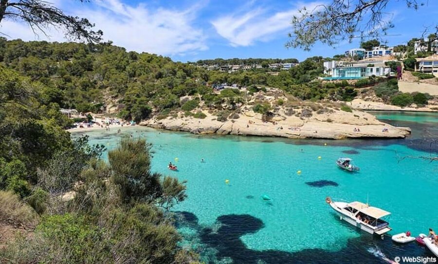 From Palma: Portal Vells Beach and Cave SUP & Snorkel Tour - Key points at a glance