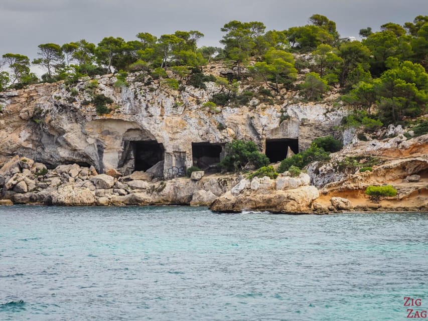 From Palma: Portal Vells Beach and Cave SUP & Snorkel Tour - What the $164 price really buys you