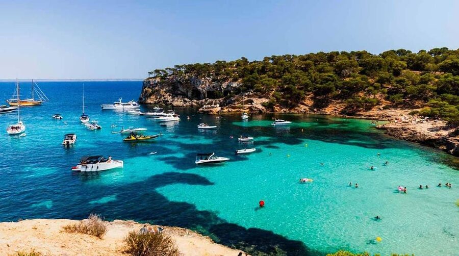 From Palma: Portal Vells Beach and Cave SUP & Snorkel Tour - The van ride from Palma and nearby resorts