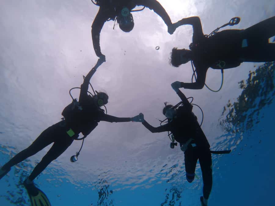From Pattaya: Snorkeling or Beginner Scuba Diving Tour - Marine life, turtles, and changing visibility