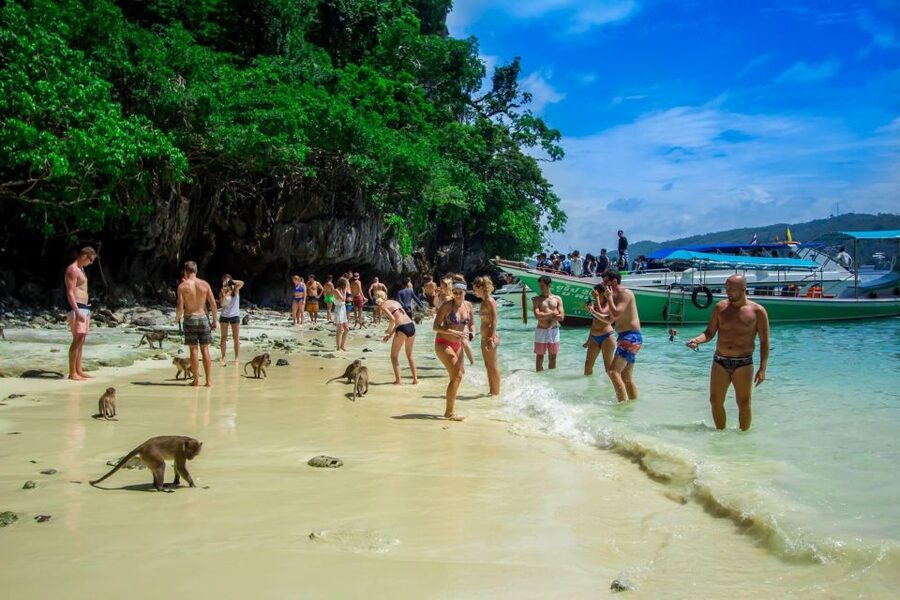 From Phi Phi: Half-Day Longtail Boat Tour with Snorkeling - Monkey Beach: charming animals, poor tourist behavior