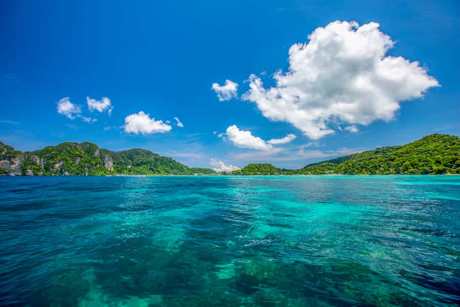 From Phuket/Khaolak: Surin Islands Snorkeling Day Trip - What the $131 price really covers