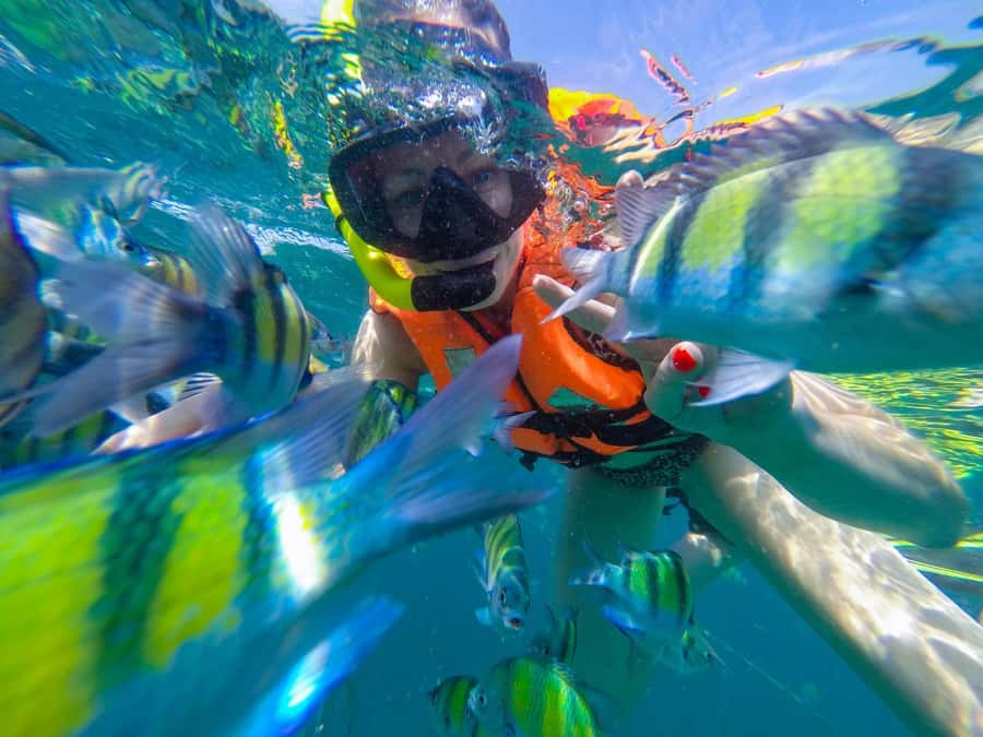 From Phuket: Phi Phi and Maya Bay Snorkeling by Speedboat - The early Phuket pickup and marina start