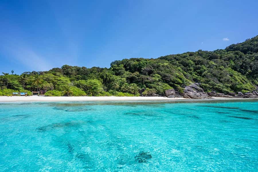 From Phuket: Similan Islands Snorkeling Trip by Speedboat - Island 7 and the first serious snorkeling