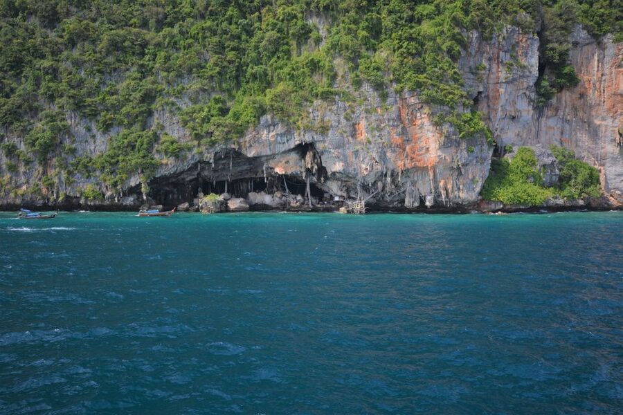 From Phuket: Snorkeling Ferry Cruise to Phi Phi Islands - Key details before you book