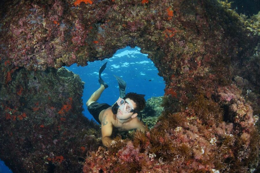 From Porto Ercole: Giannutri Island Snorkeling Boat Trip - Who will enjoy this boat trip most?