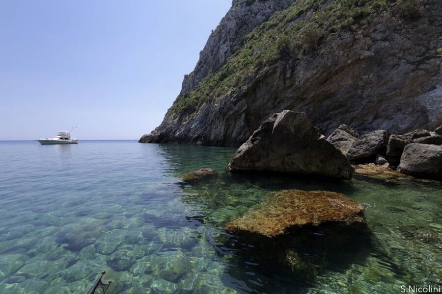 From Porto Ercole: Giannutri Island Snorkeling Boat Trip - Should you book the Giannutri snorkeling trip?
