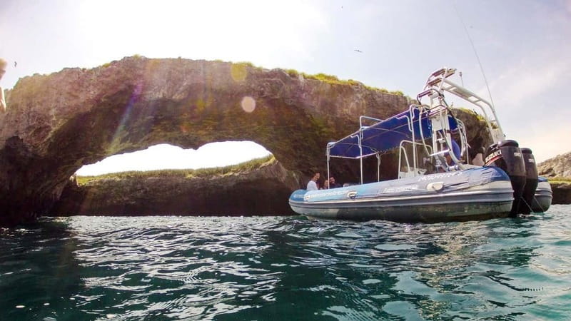 From Puerto Vallarta: Marieta Islands Snorkeling Trip - Key points before you book