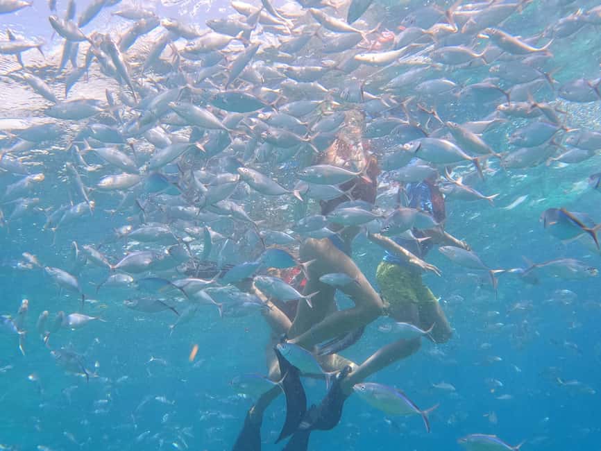 From Punta Cana: Catalina Island Swim, Sail & Snorkel - Lunch, drinks, and the practical value of an organized beach stop