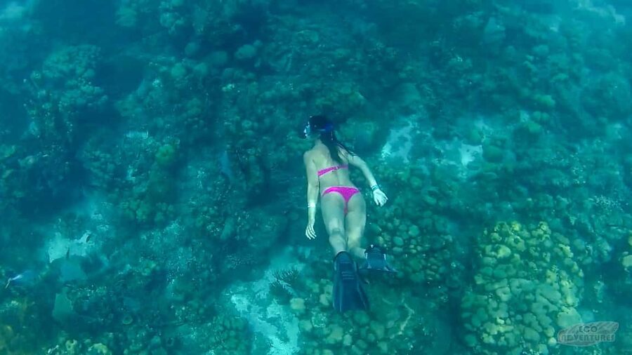 From Punta Cana: Catalina Snorkeling & Altos de Chavon Tour - Key points at a glance