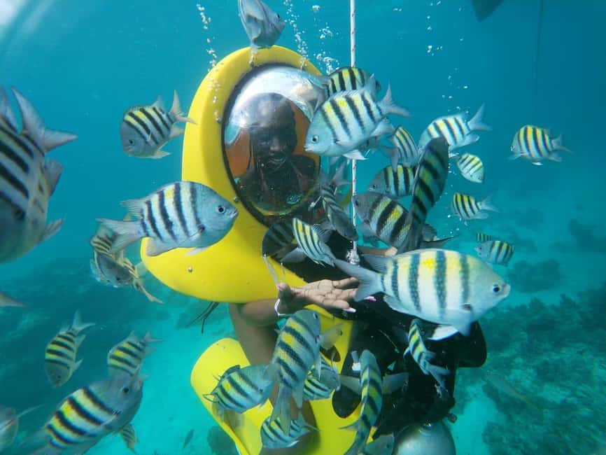From Punta Cana: ScubaDoo, Snorkel & Glass Bottom Boat Tour - Snorkeling at the El Niño point