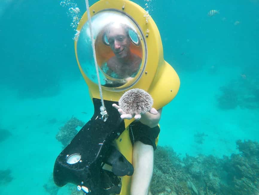 From Punta Cana: ScubaDoo, Snorkel & Glass Bottom Boat Tour - Who will enjoy this Punta Cana outing?