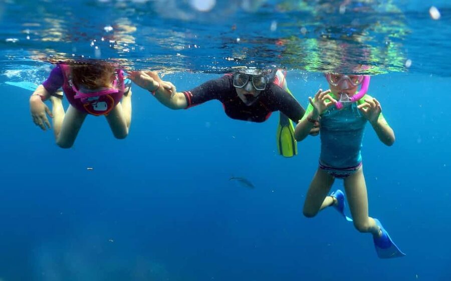 From Punta Cana: Small Group Catalina Island Snorkeling Tour - Key points at a glance